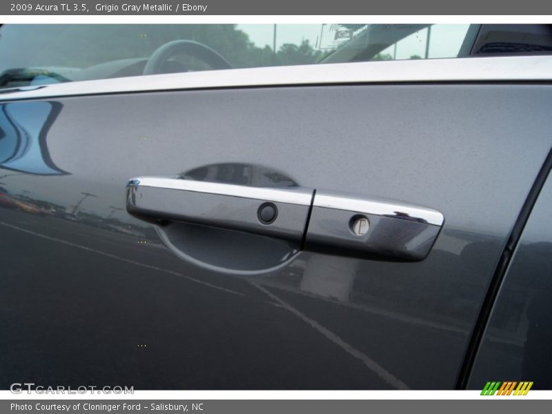 Grigio Gray Metallic / Ebony 2009 Acura TL 3.5