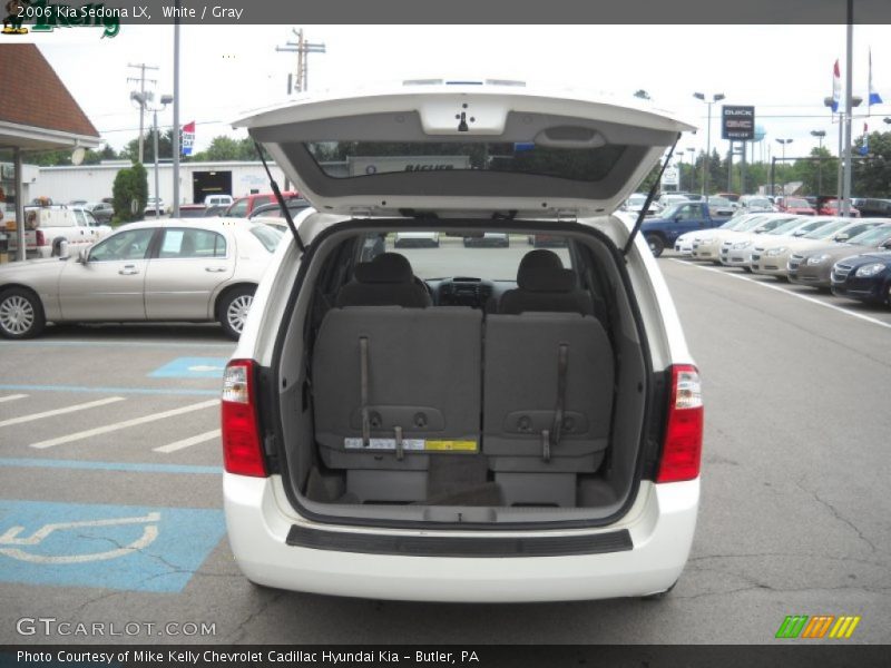White / Gray 2006 Kia Sedona LX