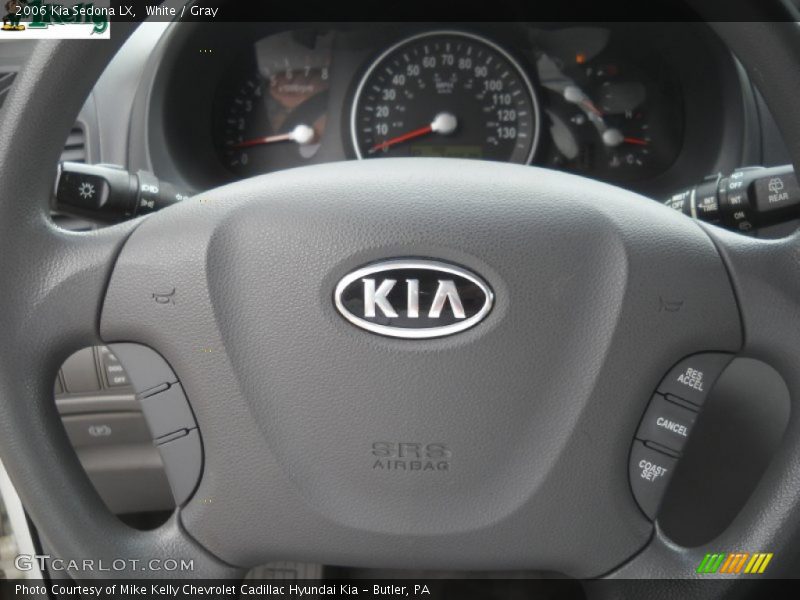 White / Gray 2006 Kia Sedona LX