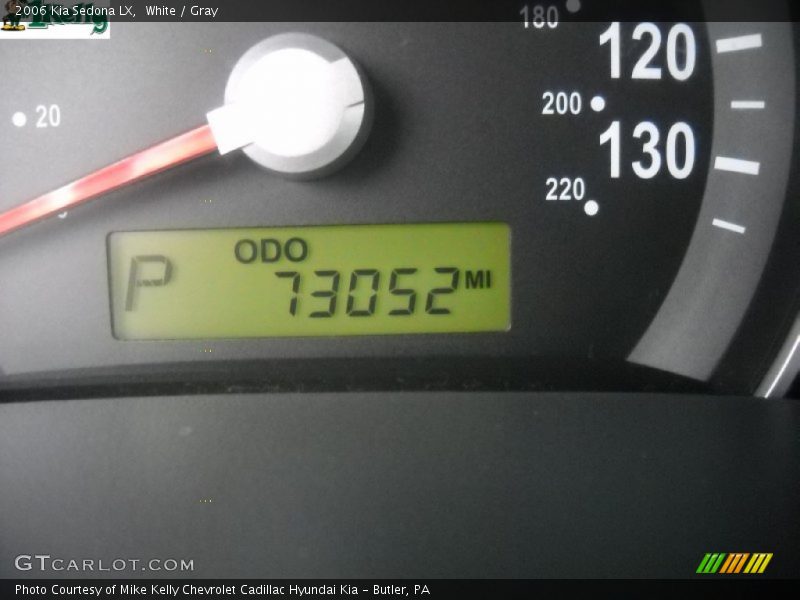 White / Gray 2006 Kia Sedona LX