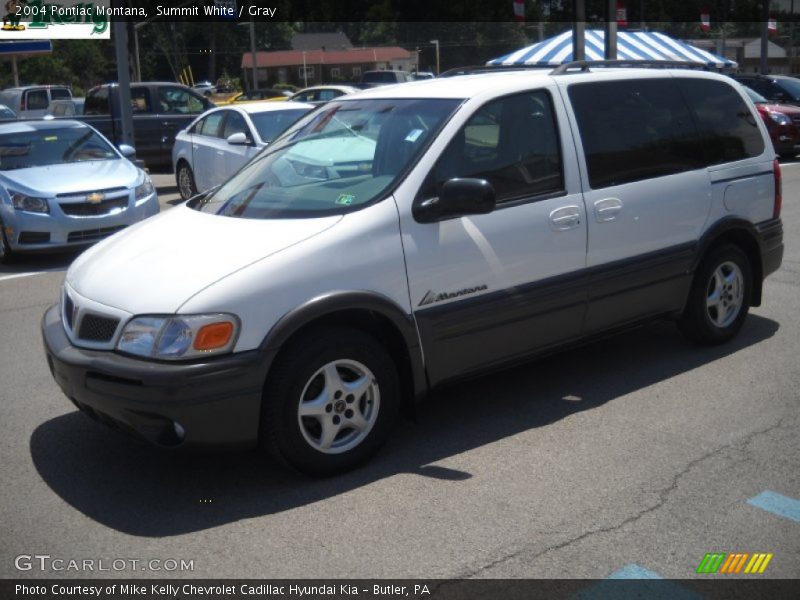 Summit White / Gray 2004 Pontiac Montana