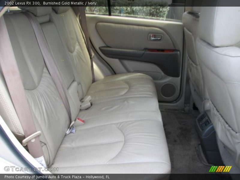 Burnished Gold Metallic / Ivory 2002 Lexus RX 300