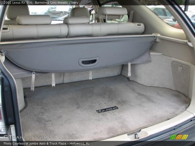 Burnished Gold Metallic / Ivory 2002 Lexus RX 300