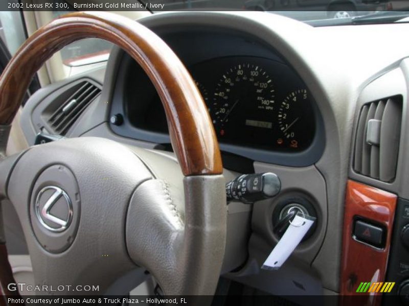 Burnished Gold Metallic / Ivory 2002 Lexus RX 300