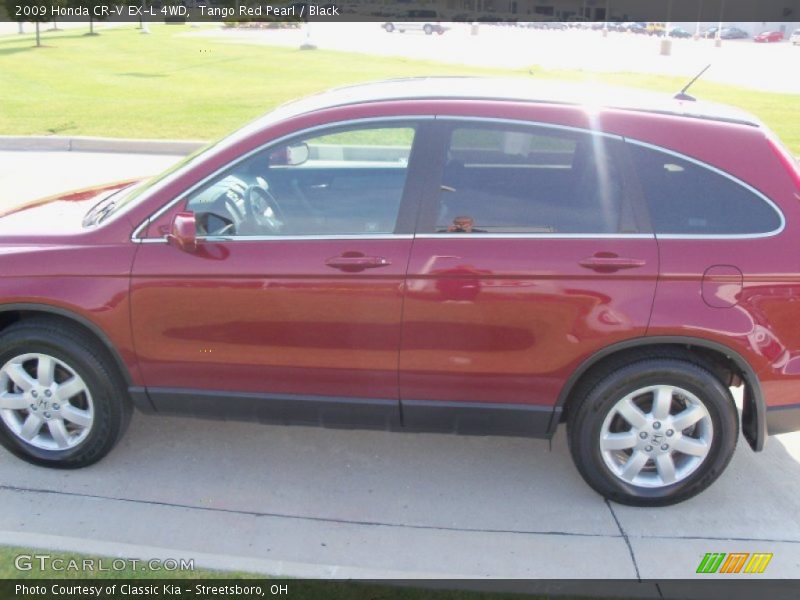 Tango Red Pearl / Black 2009 Honda CR-V EX-L 4WD