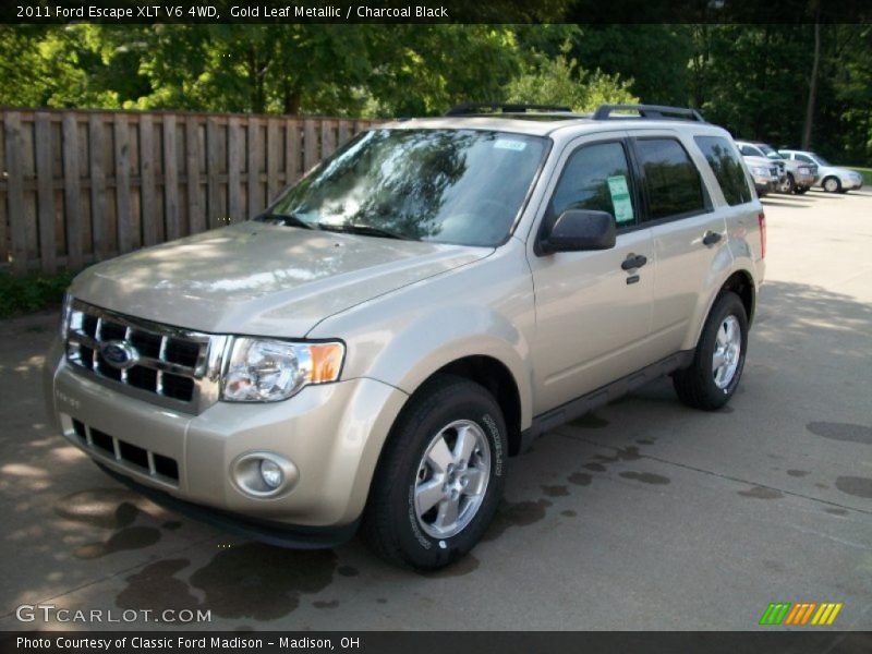 Gold Leaf Metallic / Charcoal Black 2011 Ford Escape XLT V6 4WD