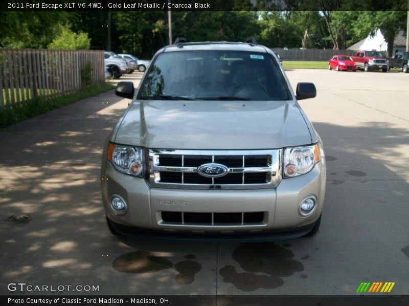 Gold Leaf Metallic / Charcoal Black 2011 Ford Escape XLT V6 4WD