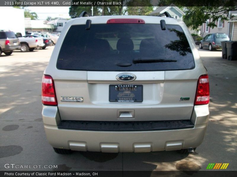Gold Leaf Metallic / Charcoal Black 2011 Ford Escape XLT V6 4WD