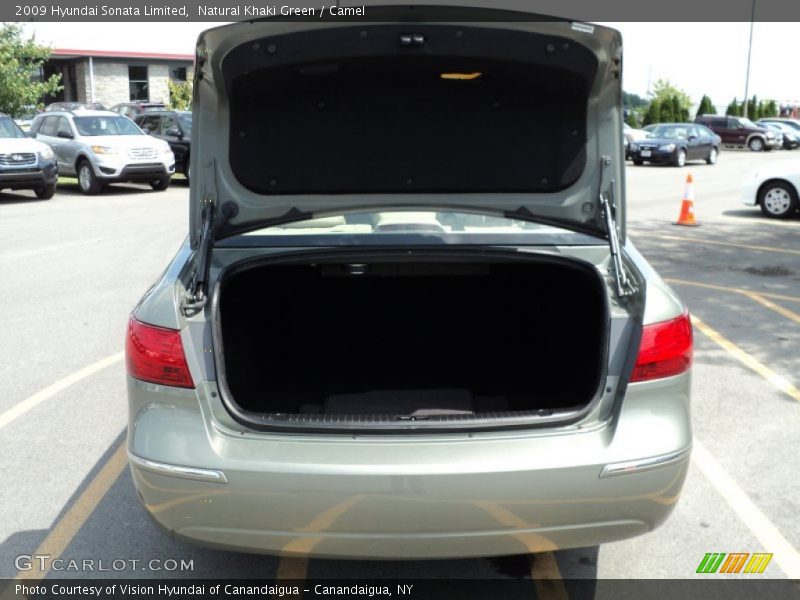 Natural Khaki Green / Camel 2009 Hyundai Sonata Limited