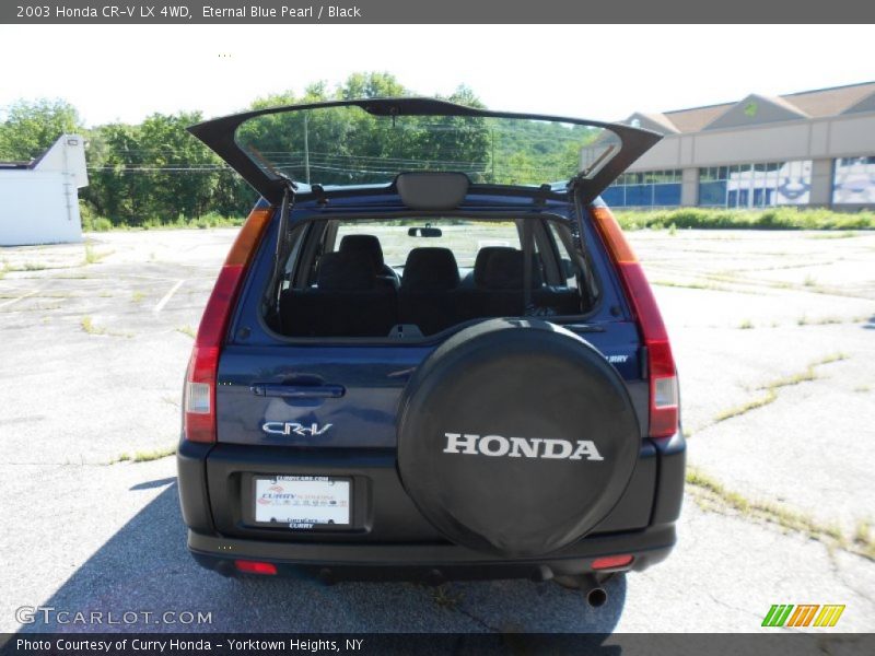 Eternal Blue Pearl / Black 2003 Honda CR-V LX 4WD