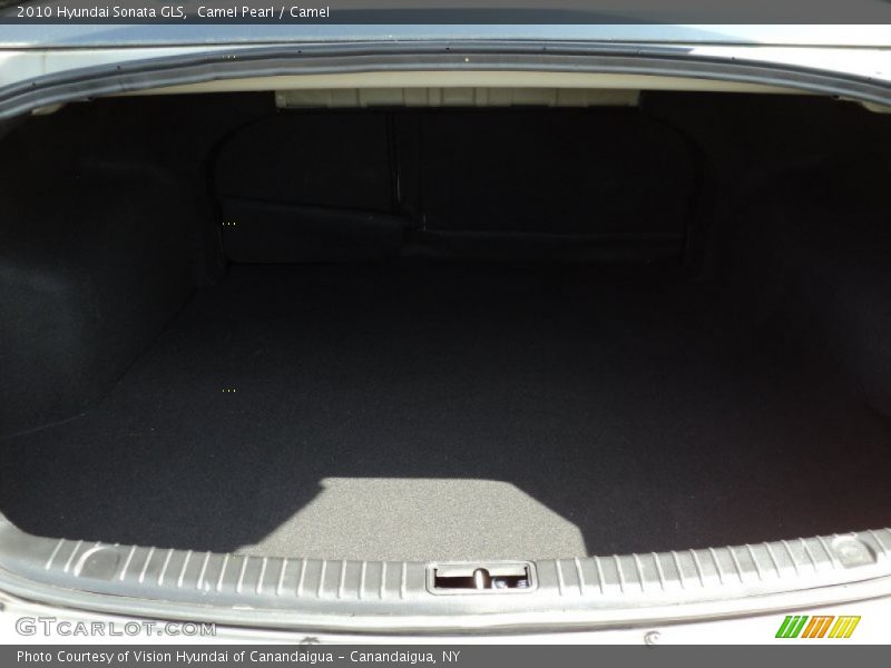 Camel Pearl / Camel 2010 Hyundai Sonata GLS