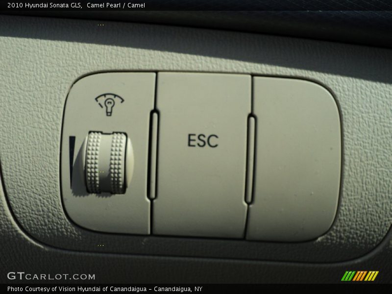 Camel Pearl / Camel 2010 Hyundai Sonata GLS