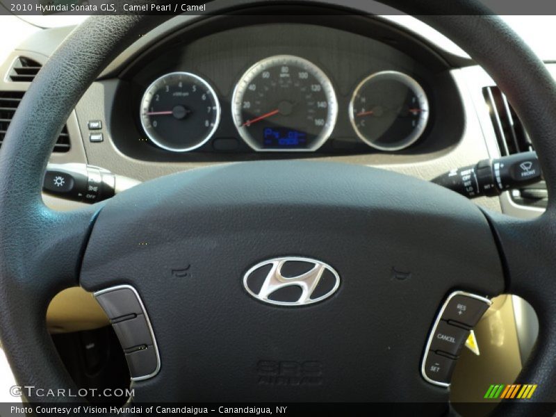 Camel Pearl / Camel 2010 Hyundai Sonata GLS