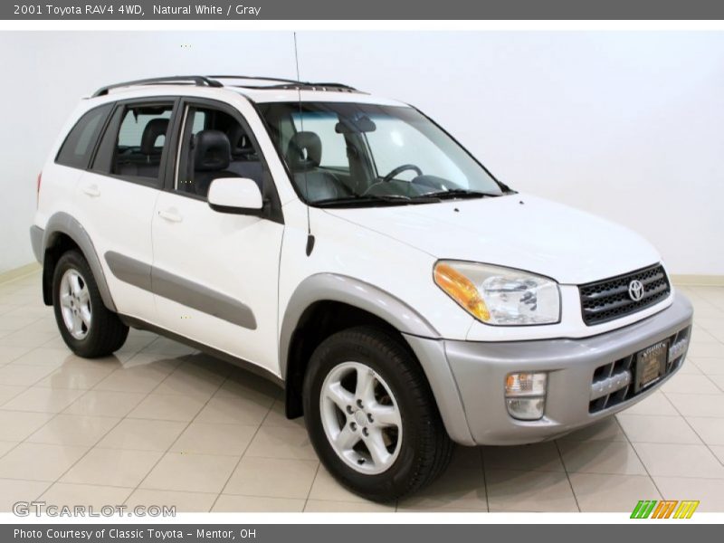 Natural White / Gray 2001 Toyota RAV4 4WD
