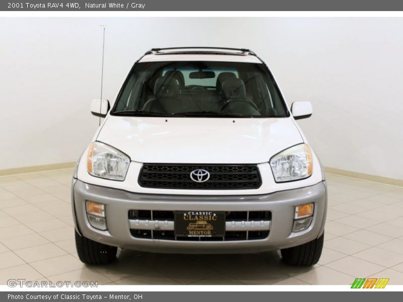 Natural White / Gray 2001 Toyota RAV4 4WD