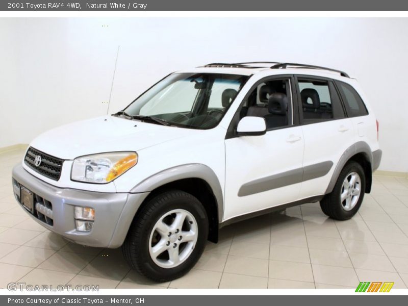 Natural White / Gray 2001 Toyota RAV4 4WD
