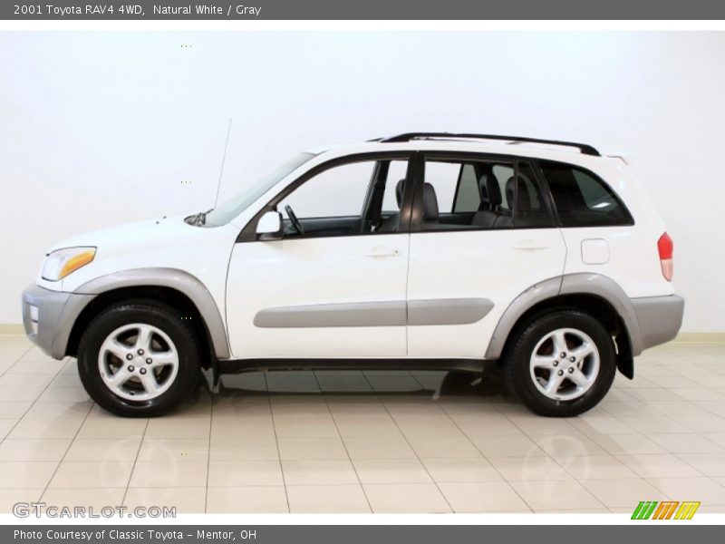 Natural White / Gray 2001 Toyota RAV4 4WD