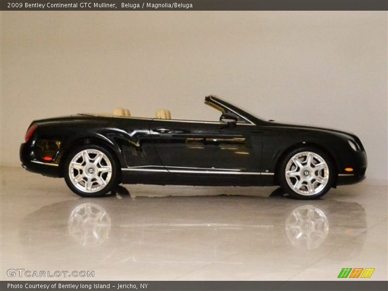 Beluga / Magnolia/Beluga 2009 Bentley Continental GTC Mulliner
