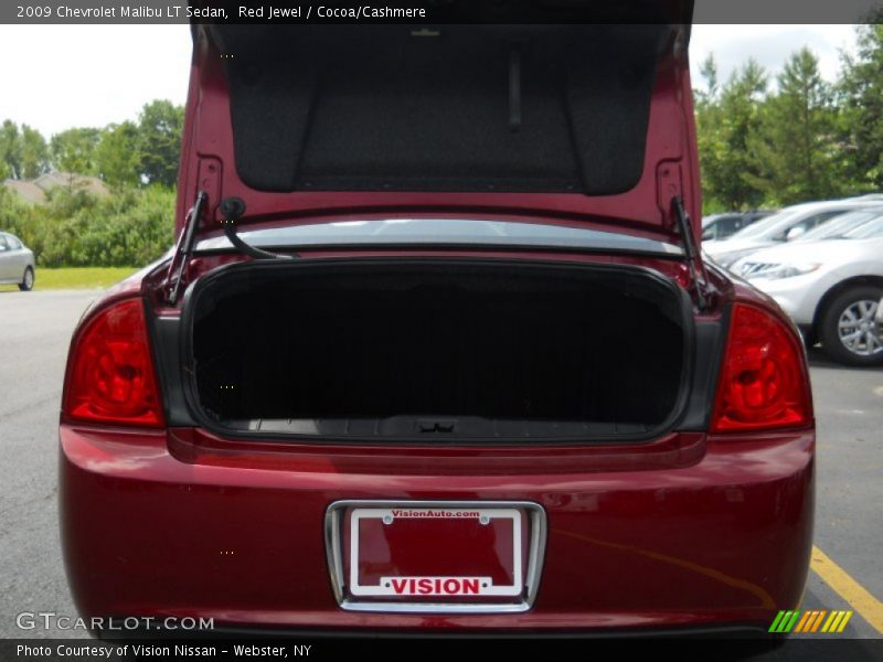 Red Jewel / Cocoa/Cashmere 2009 Chevrolet Malibu LT Sedan