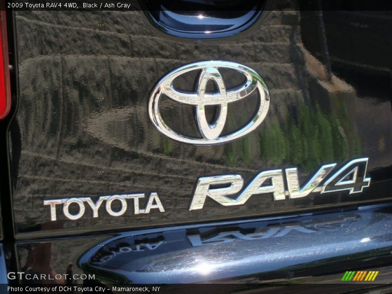 Black / Ash Gray 2009 Toyota RAV4 4WD