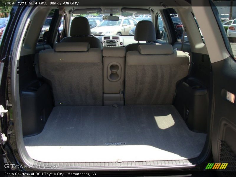 Black / Ash Gray 2009 Toyota RAV4 4WD