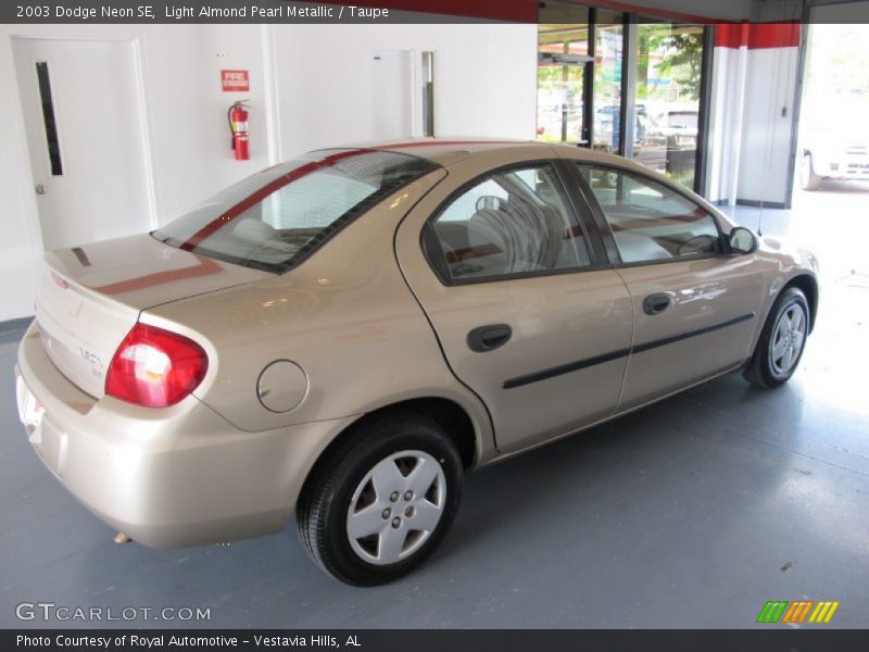 Light Almond Pearl Metallic / Taupe 2003 Dodge Neon SE