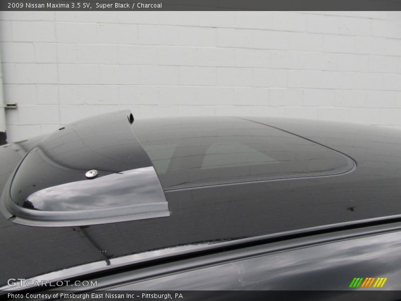 Super Black / Charcoal 2009 Nissan Maxima 3.5 SV