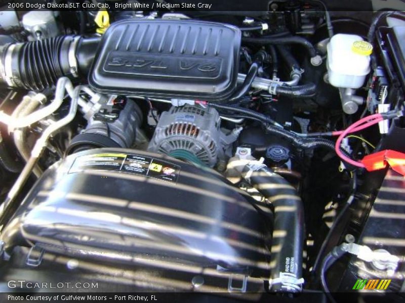 Bright White / Medium Slate Gray 2006 Dodge Dakota SLT Club Cab