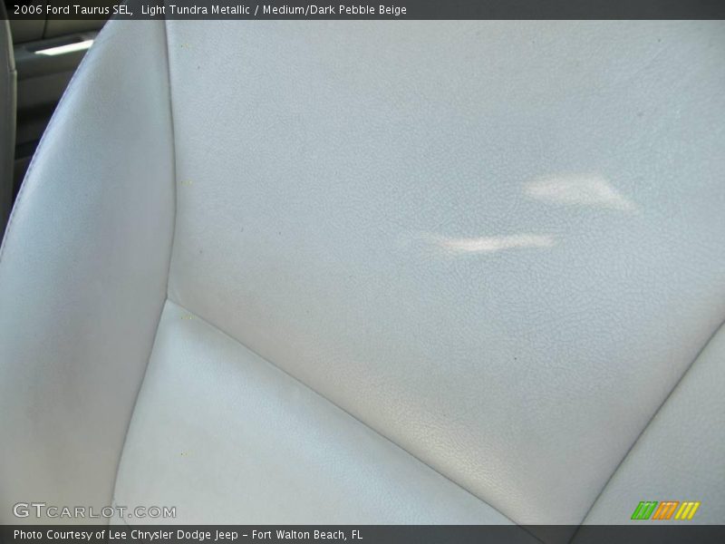 Light Tundra Metallic / Medium/Dark Pebble Beige 2006 Ford Taurus SEL