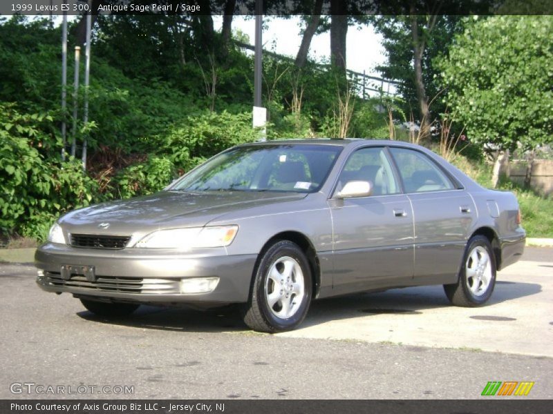 Antique Sage Pearl / Sage 1999 Lexus ES 300
