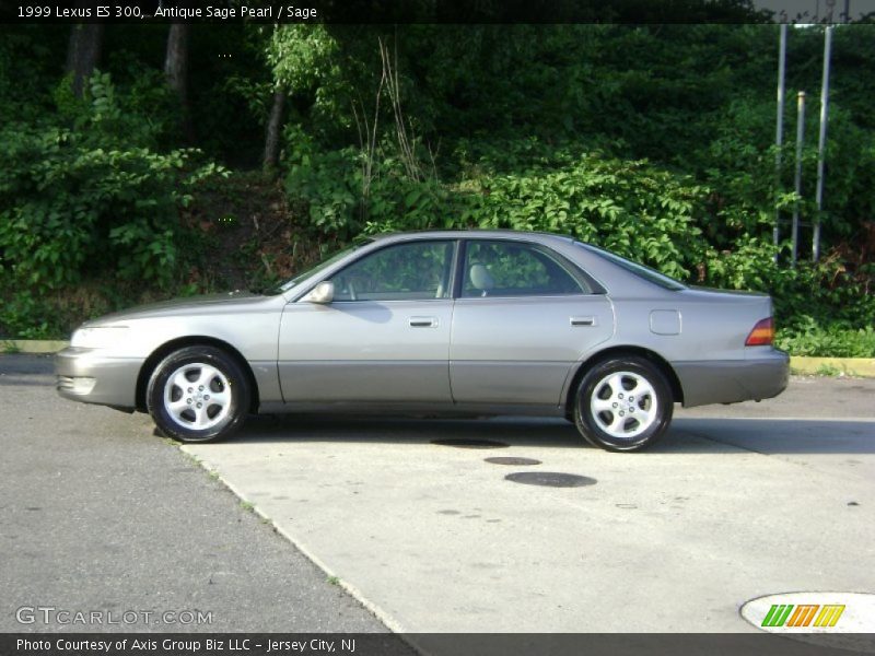Antique Sage Pearl / Sage 1999 Lexus ES 300