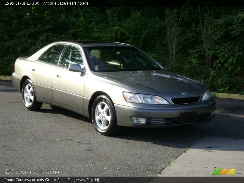 Antique Sage Pearl / Sage 1999 Lexus ES 300