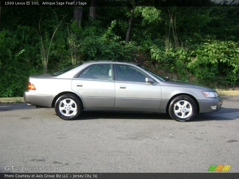 Antique Sage Pearl / Sage 1999 Lexus ES 300