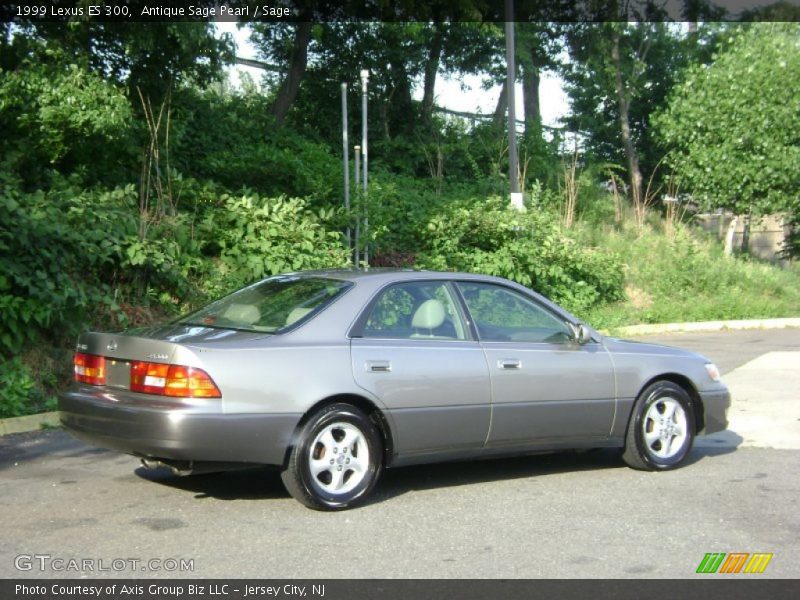 Antique Sage Pearl / Sage 1999 Lexus ES 300