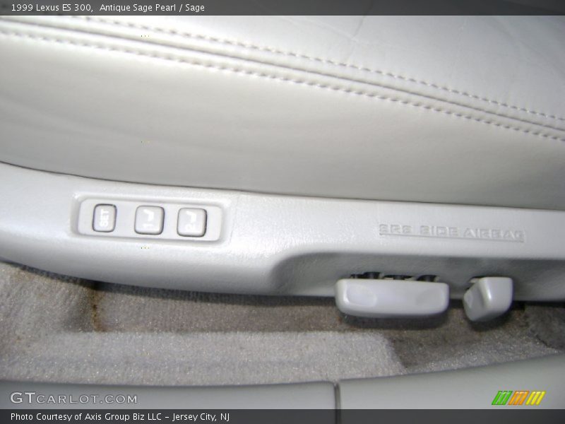 Antique Sage Pearl / Sage 1999 Lexus ES 300