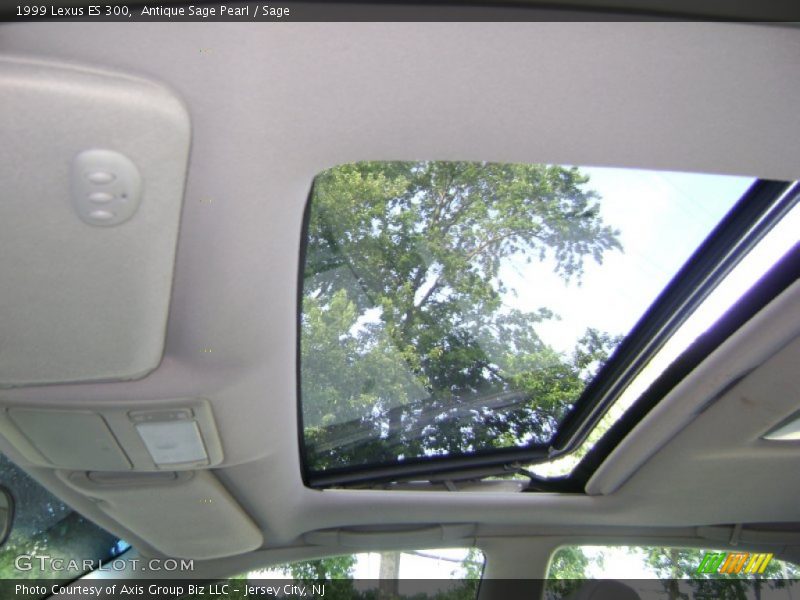 Antique Sage Pearl / Sage 1999 Lexus ES 300
