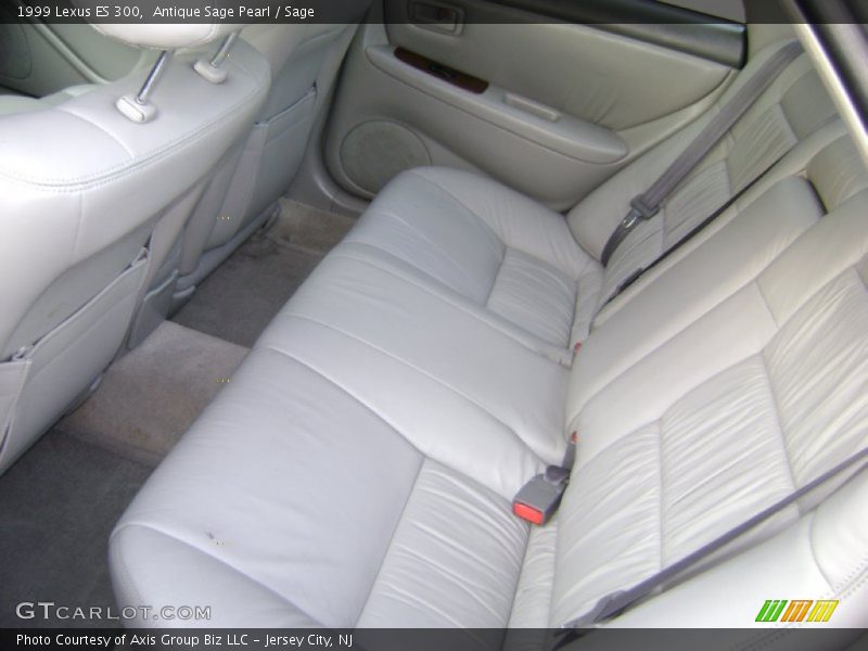 Antique Sage Pearl / Sage 1999 Lexus ES 300