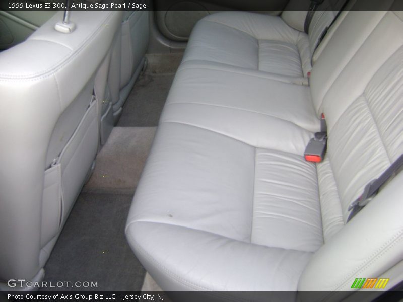 Antique Sage Pearl / Sage 1999 Lexus ES 300