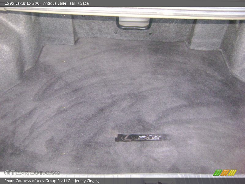 Antique Sage Pearl / Sage 1999 Lexus ES 300