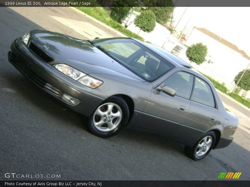 Antique Sage Pearl / Sage 1999 Lexus ES 300