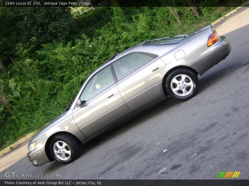 Antique Sage Pearl / Sage 1999 Lexus ES 300