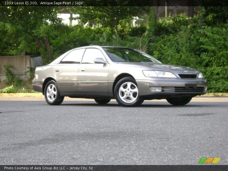 Antique Sage Pearl / Sage 1999 Lexus ES 300