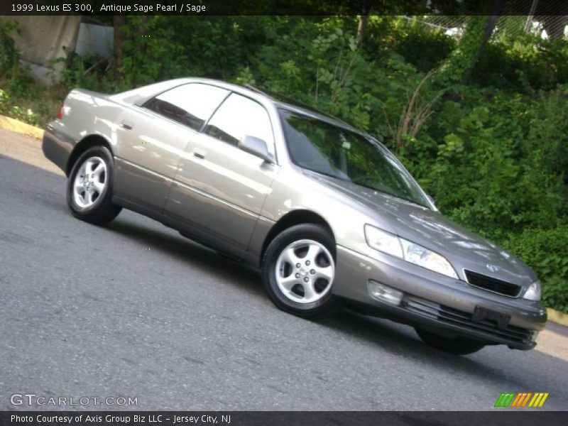 Antique Sage Pearl / Sage 1999 Lexus ES 300