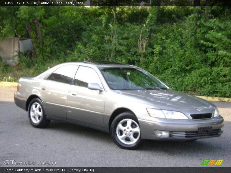 Antique Sage Pearl / Sage 1999 Lexus ES 300