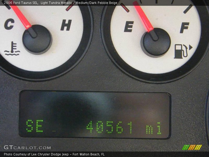 Light Tundra Metallic / Medium/Dark Pebble Beige 2006 Ford Taurus SEL