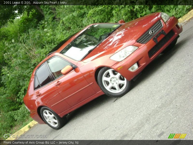 Auburn Sky Pearl / Ivory 2001 Lexus IS 300