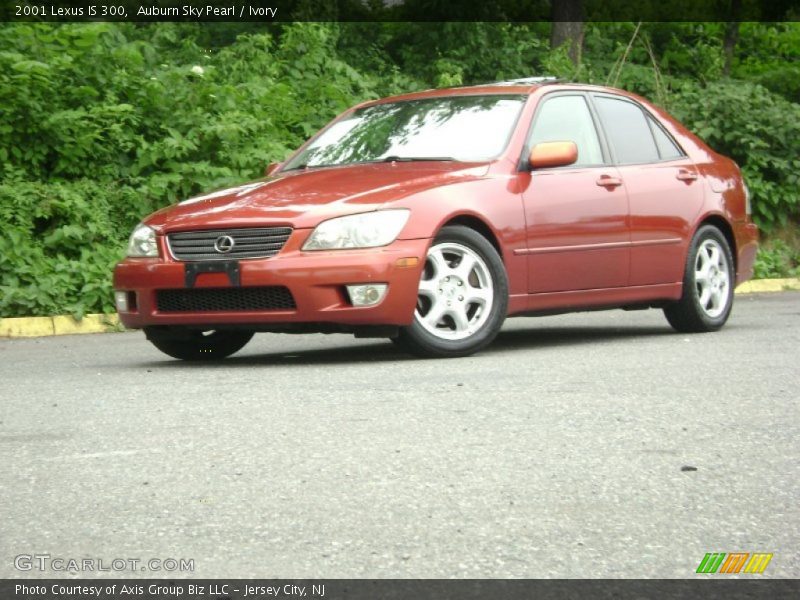 Auburn Sky Pearl / Ivory 2001 Lexus IS 300