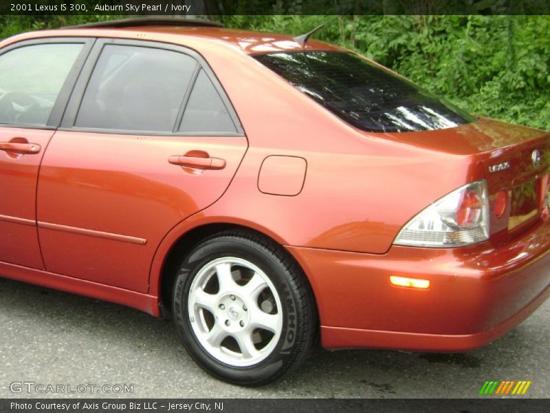 Auburn Sky Pearl / Ivory 2001 Lexus IS 300