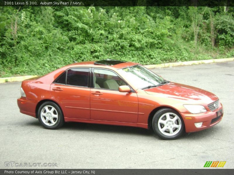 Auburn Sky Pearl / Ivory 2001 Lexus IS 300