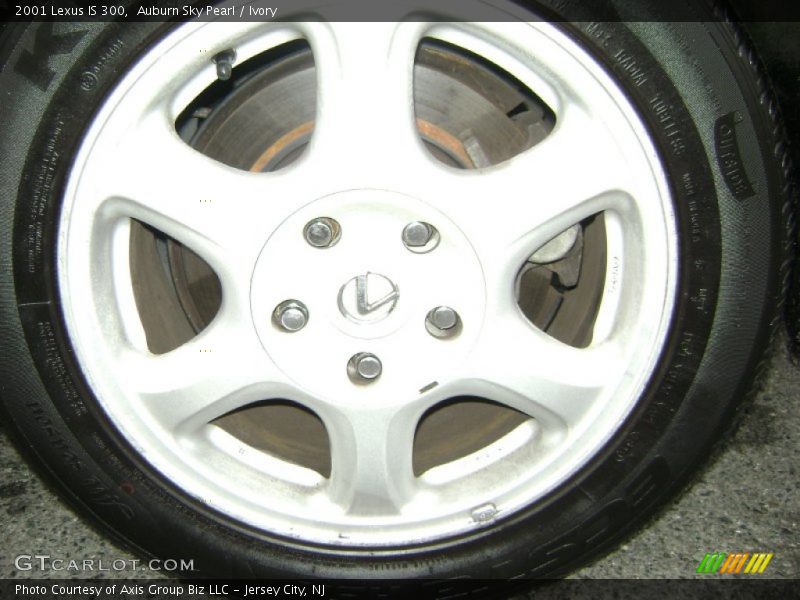 Auburn Sky Pearl / Ivory 2001 Lexus IS 300